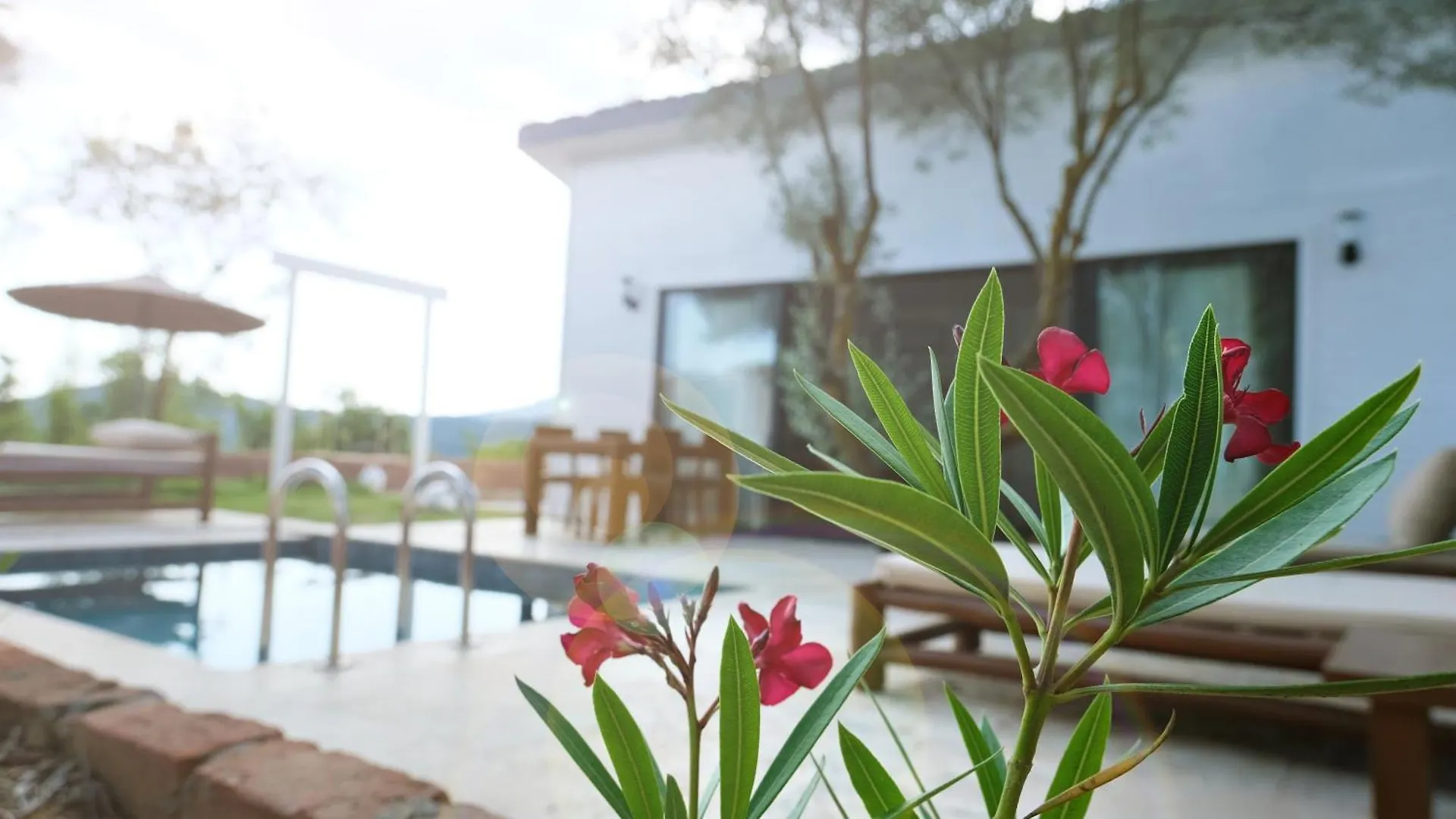 Zai Jardin Villa Fethiye